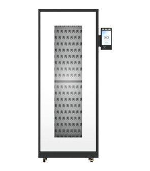 Lekol Key Cabinet RE 200